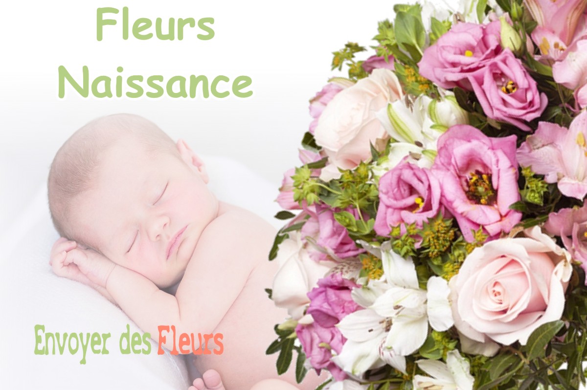 lIVRAISON FLEURS NAISSANCE à LA-RIXOUSE